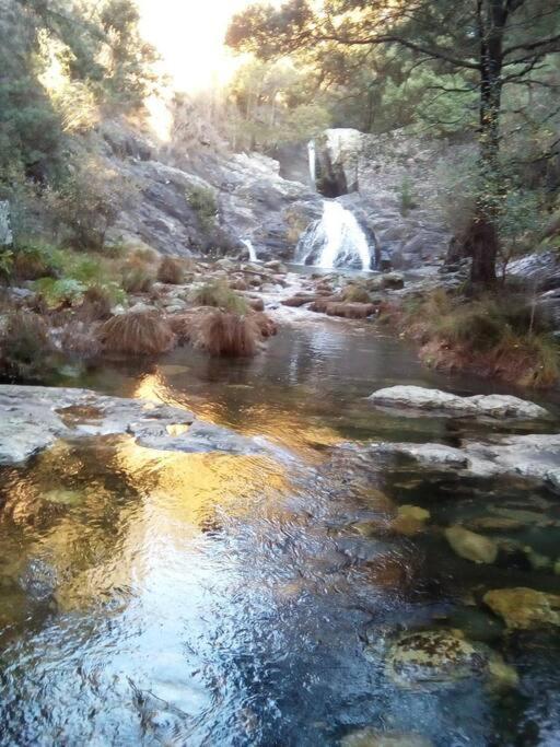 Viana Do Castelo - Amonde Village -Casa A * Relax エクステリア 写真