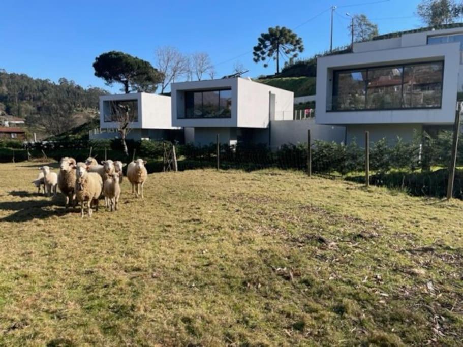 Viana Do Castelo - Amonde Village -Casa A * Relax エクステリア 写真